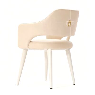 お買い得 北欧モダンデザイナーダイニングチェア モデルルーム メタルレジャーチェア シンプルラグジュアリー ホテルレストランダイニングチェア オンライン